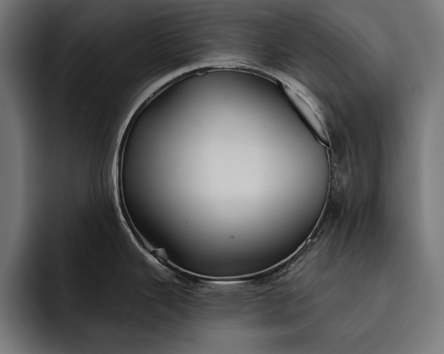 X0000093111343200710101015