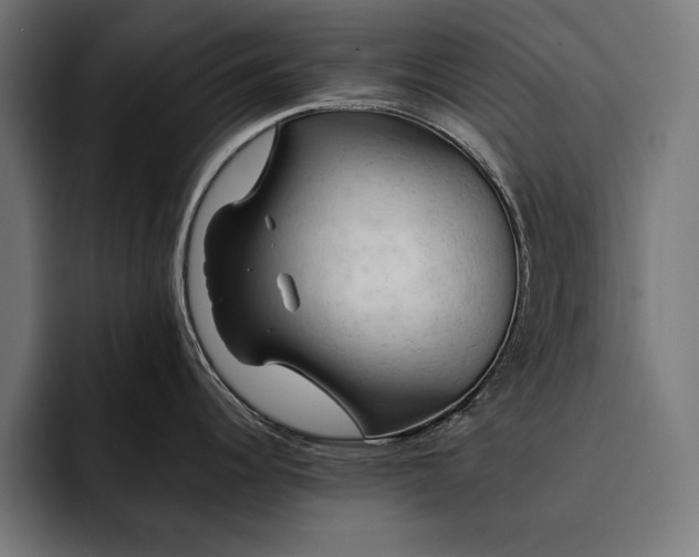 X0000093111344200710101015