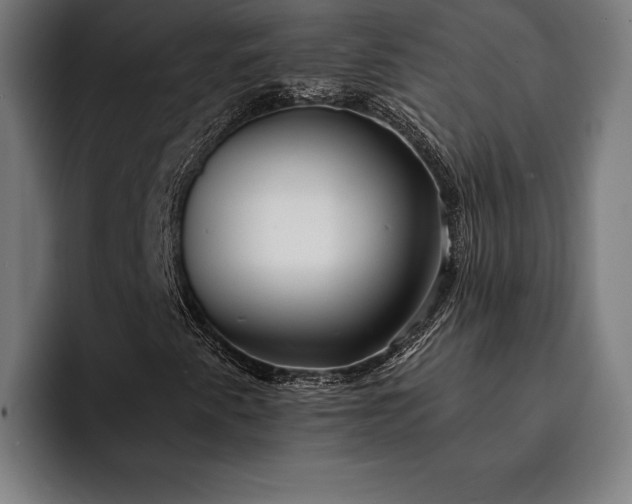 X0000093111345200710101014