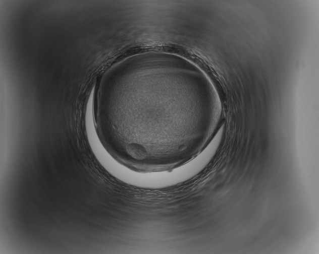 X0000093111348200710101014