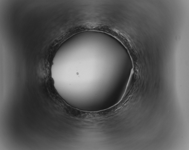 X0000093111349200710101014