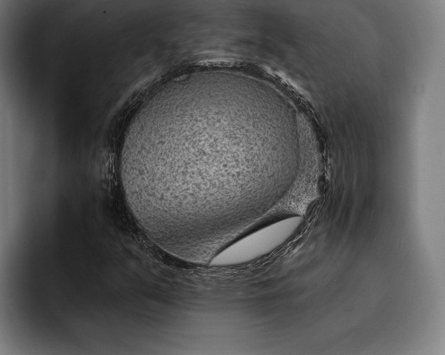 X0000093111351200710101014