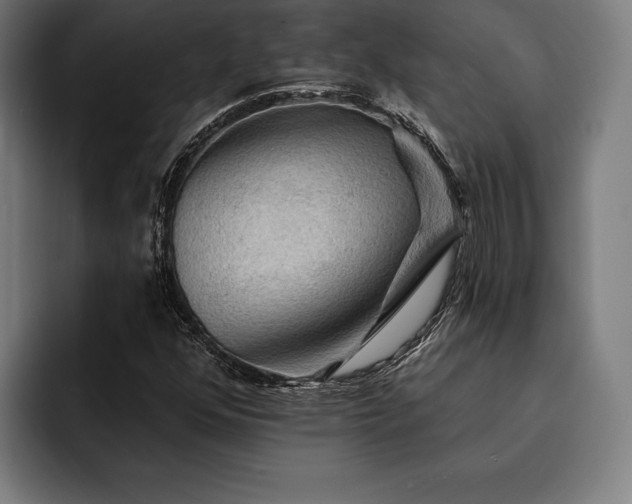 X0000093111352200710101014