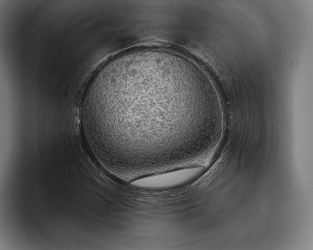 X0000093111355200710101014