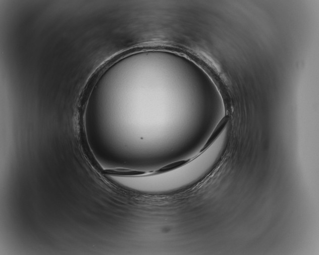 X0000093111356200710101014