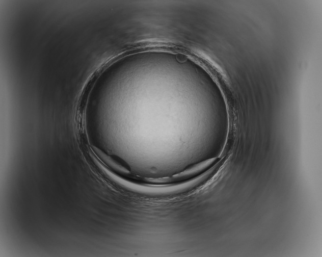 X0000093111357200710101014