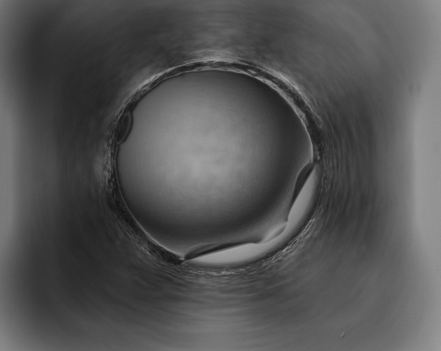 X0000093111359200710101014