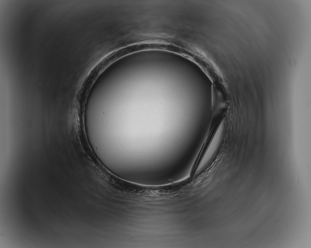 X0000093111360200710101014