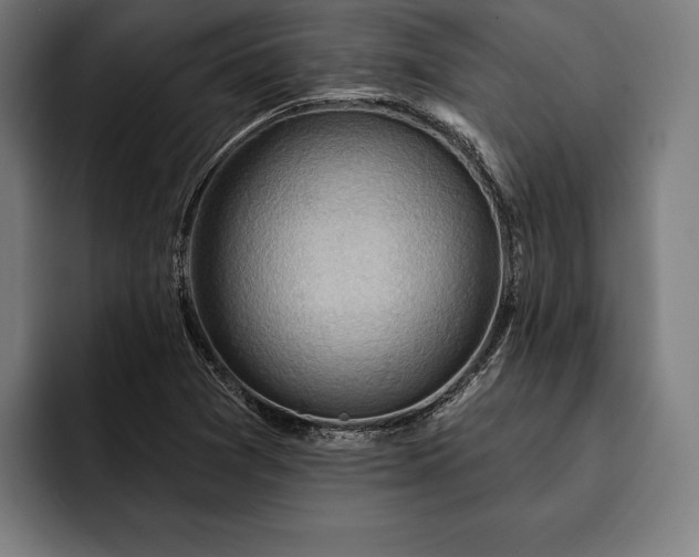 X0000093111361200710101014