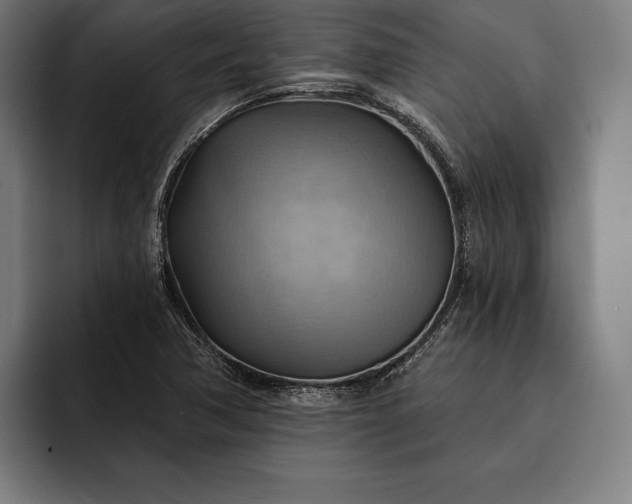 X0000093111362200710101014