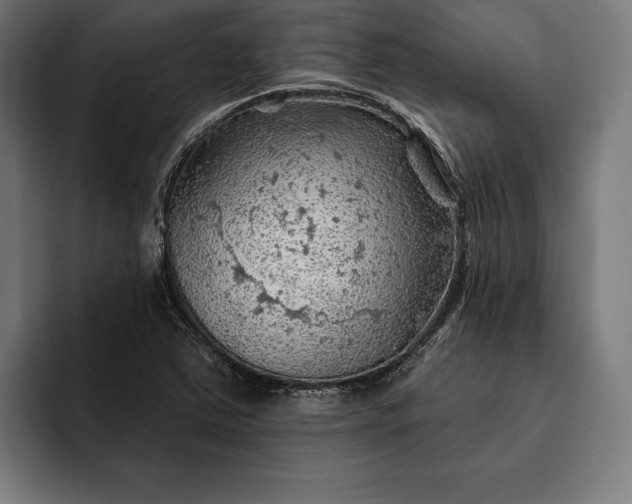 X0000093111363200710101014