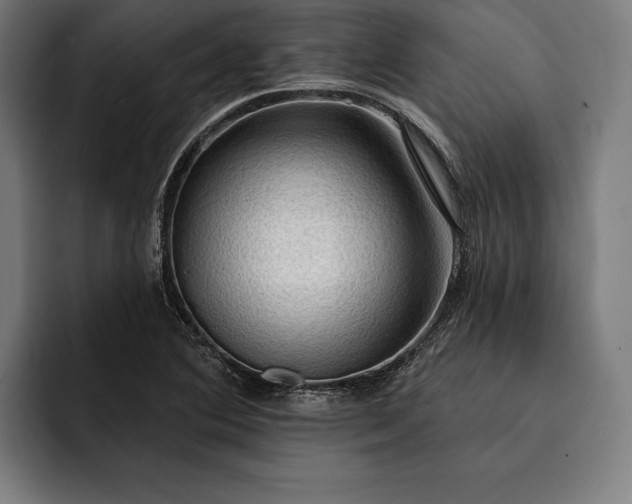 X0000093111364200710101014