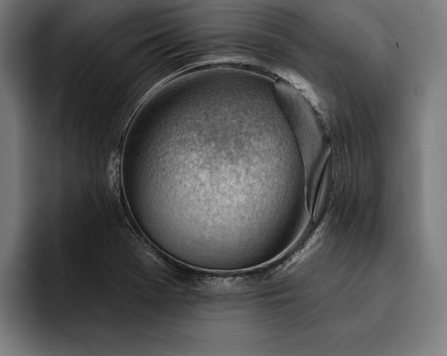 X0000093111369200710101014