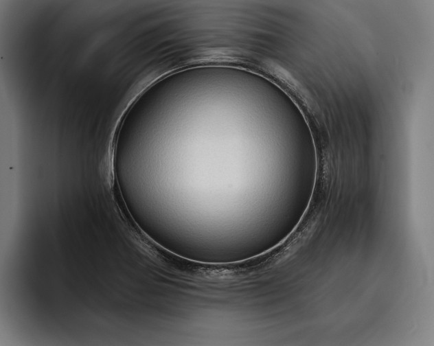 X0000093111370200710101014