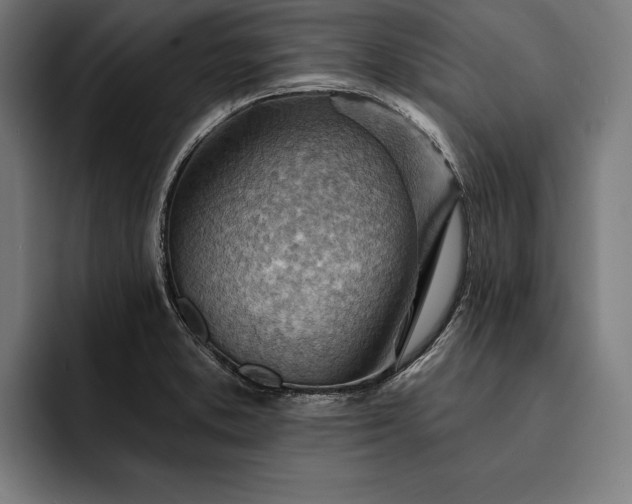 X0000093111373200710101014