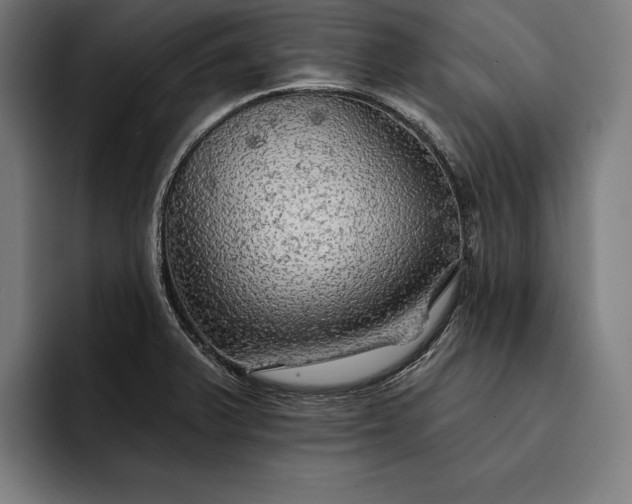 X0000093111375200710101014