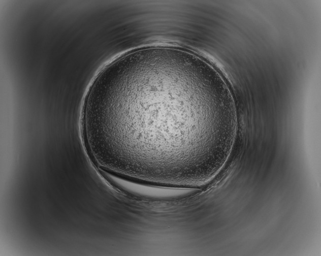 X0000093111379200710101014