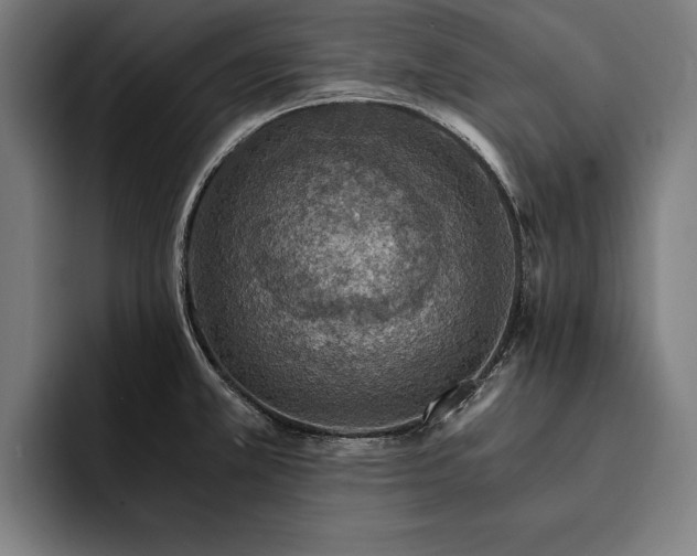 X0000093111381200710101014