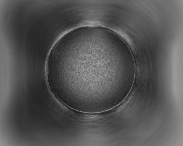 X0000093111382200710101014