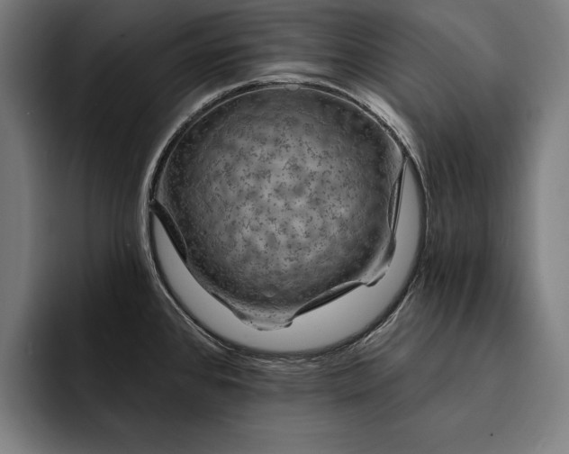 X0000093111384200710101014