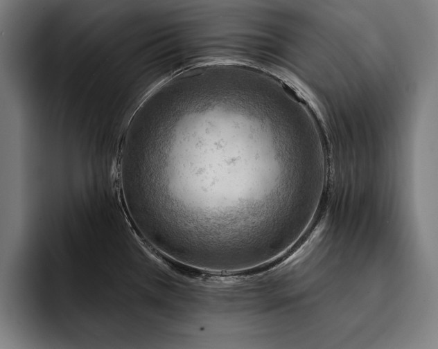 X0000093111385200710101014