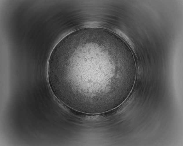 X0000093111386200710101014