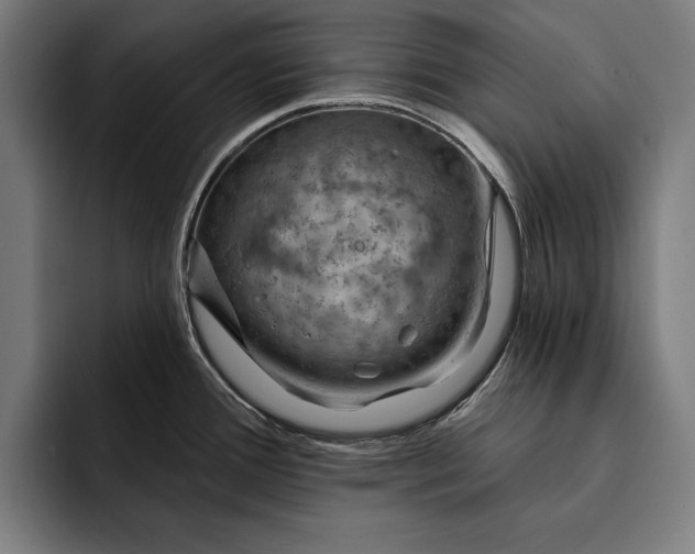 X0000093111388200710101014