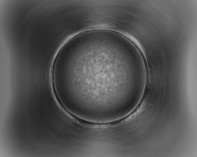 X0000093111389200710101014