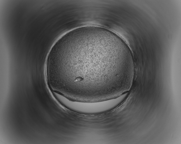 X0000093111391200710101013