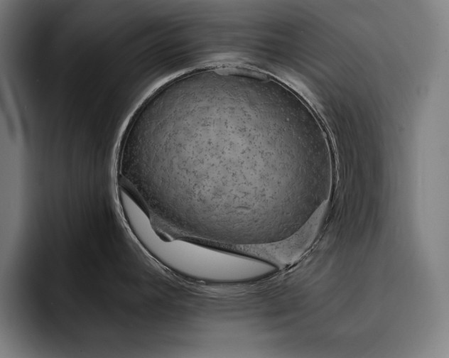 X0000093111392200710101013