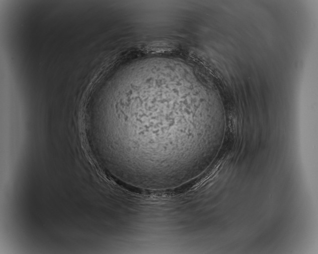 X0000093111393200710101013