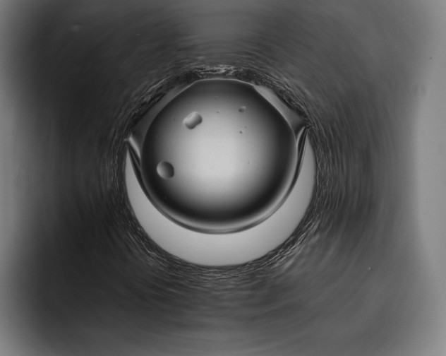 X0000093111394200710101013