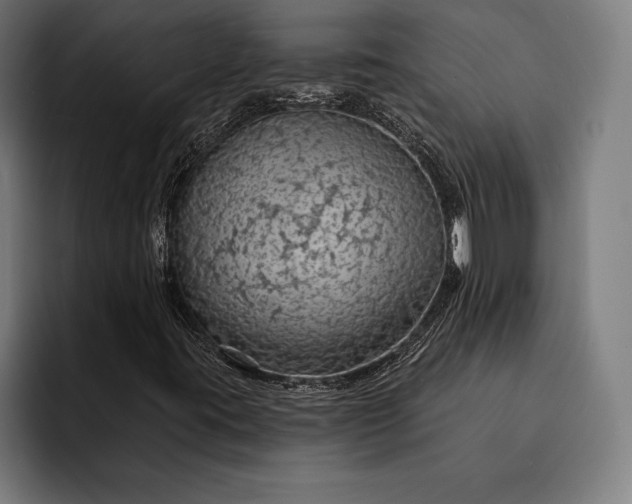 X0000093111395200710101013