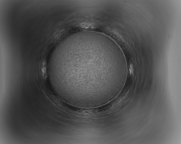 X0000093111396200710101013