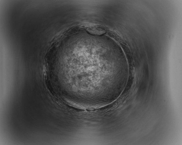 X0000093111397200710101013