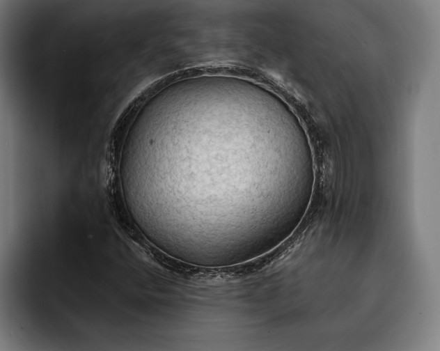 X0000093111400200710101013