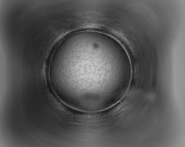 X0000093111404200710101013