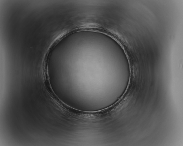 X0000093111405200710101013