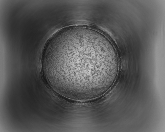 X0000093111407200710101013