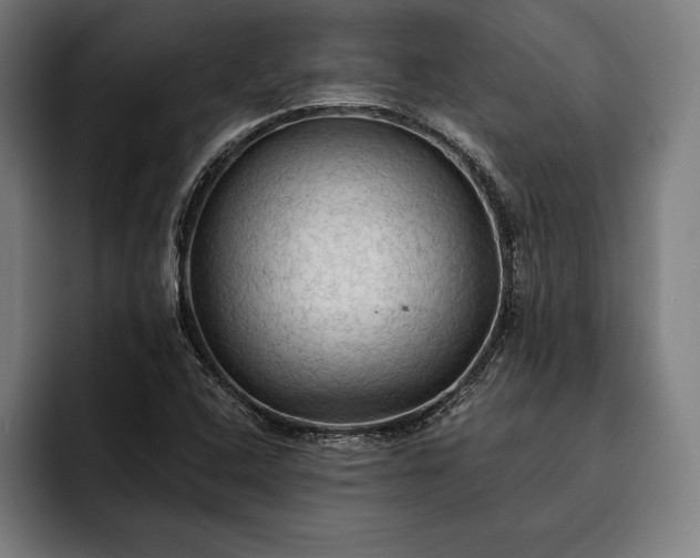 X0000093111408200710101013