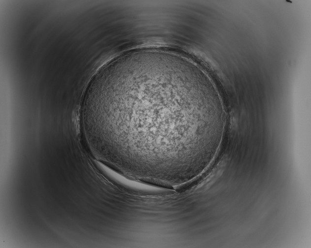 X0000093111409200710101013