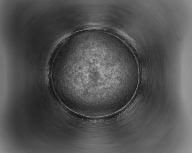 X0000093111411200710101013