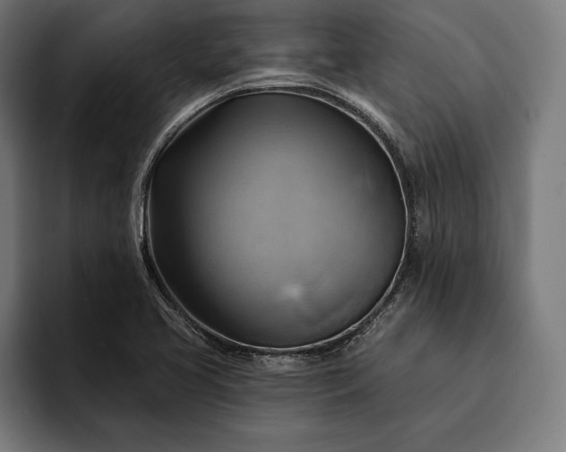 X0000093111413200710101013