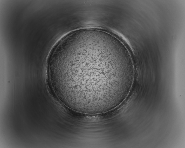 X0000093111415200710101013