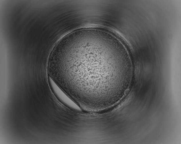 X0000093111417200710101013