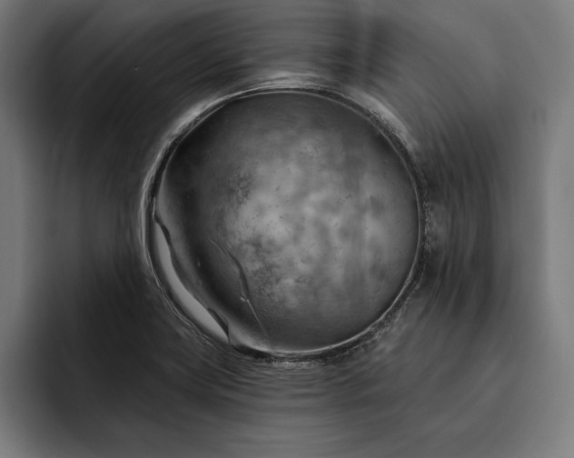 X0000093111419200710101013