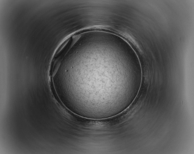 X0000093111420200710101013