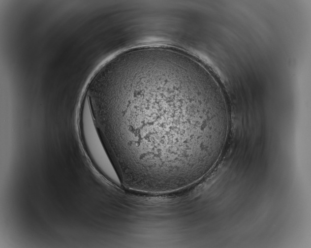 X0000093111421200710101013