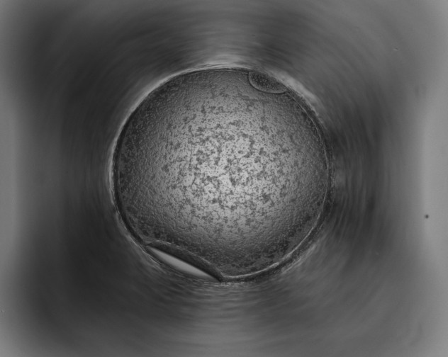 X0000093111423200710101013