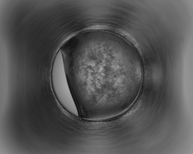 X0000093111425200710101013